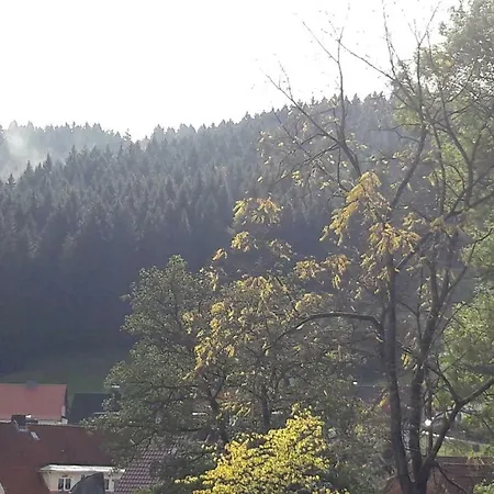 Pusteblume Gasthof 4*