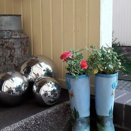 Gasthof Pusteblume Bad Grund