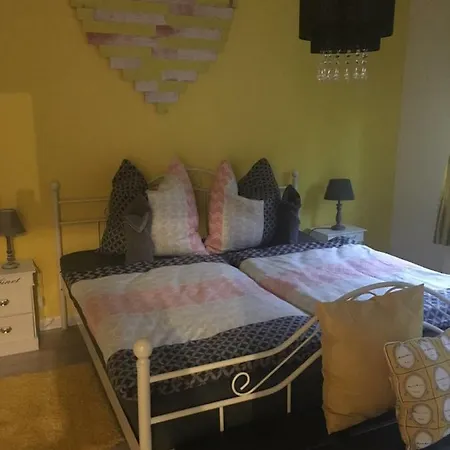 招待所 Pusteblume