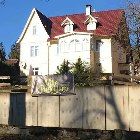 Pusteblume 招待所