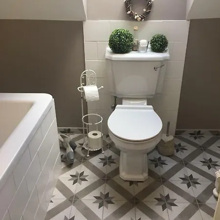 Pusteblume Bad Grund